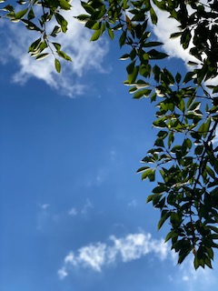 違和感を無視しない