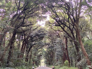 虐待しちゃいそうなママへ