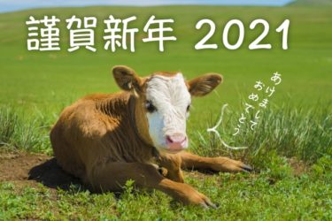 始まったーーー！