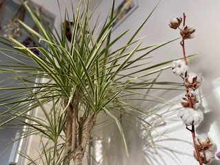 しんどい時こそチャンス