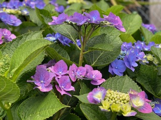 頼む。お願い。キャンセルの連絡ください！