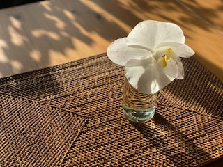 初の栃木出店と色々