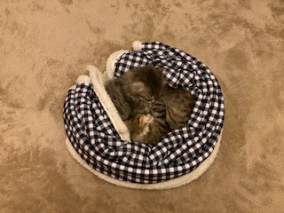 ２０２１年もありがとうございました！！